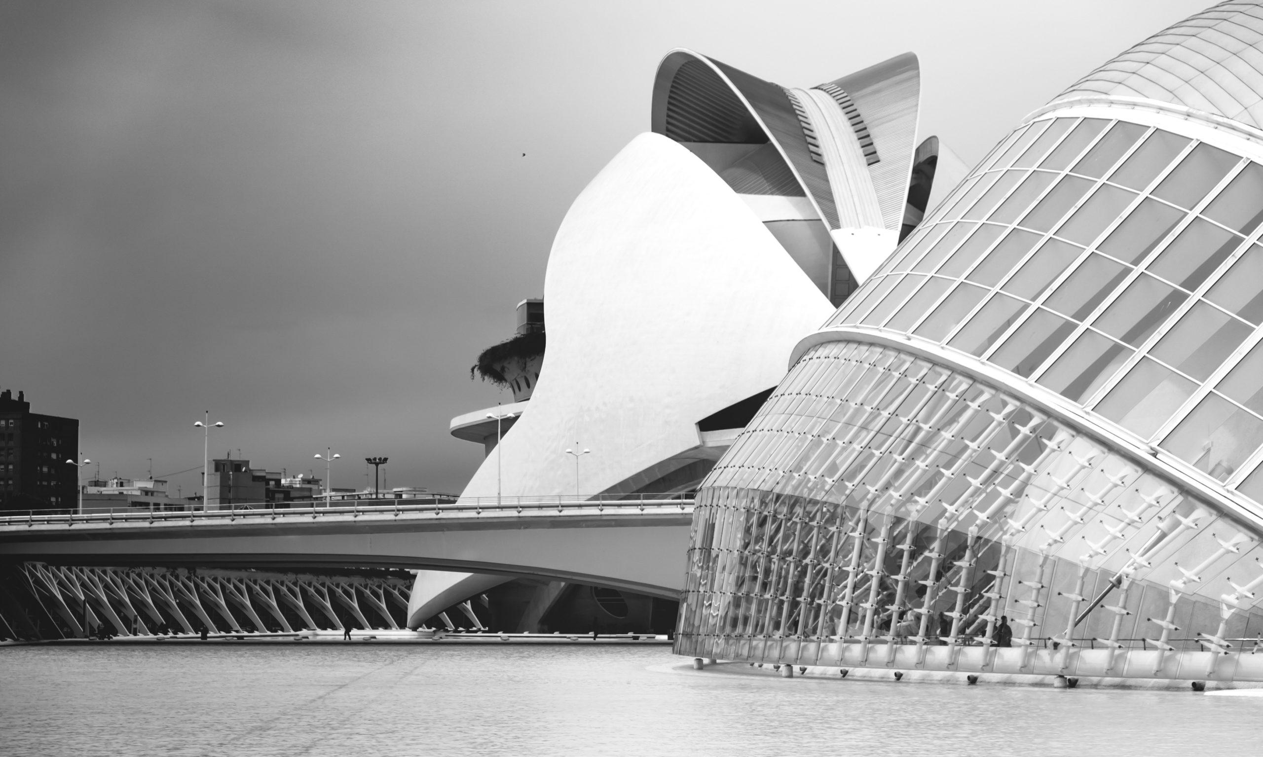 Ciudad de las Artes y las Ciencias de Valencia