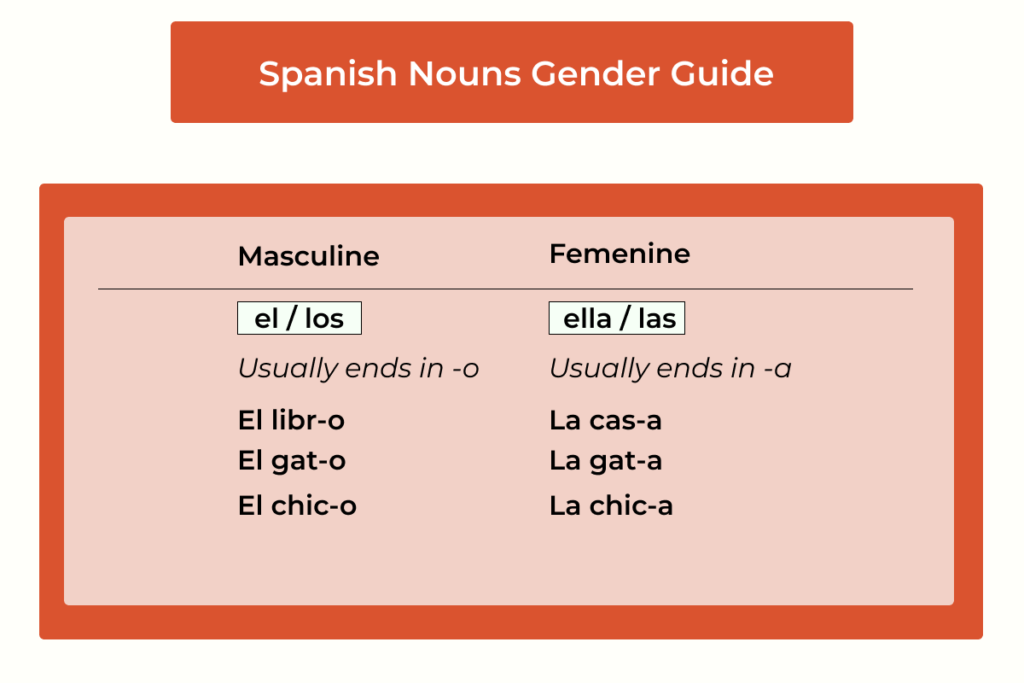 Spanish nouns gender guide with basic information of masculine and feminine nouns endings